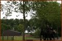 935 Willy & Gerard 095 Met de Koets